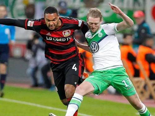 关于沃尔夫斯堡主场落败，球迷失望不已的信息